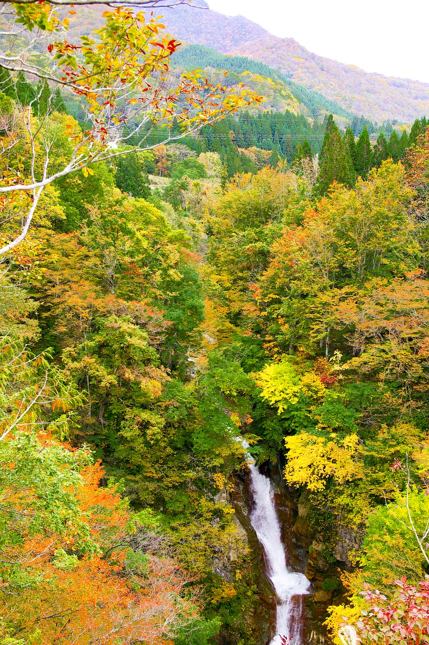 japan akiyama township waterfall of hebifuchi free photo