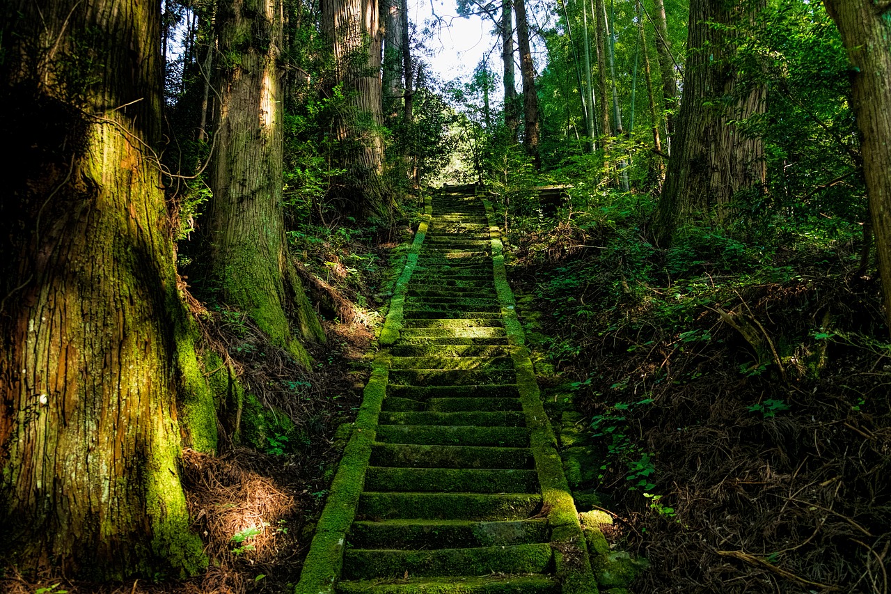 japan aso shrine free photo