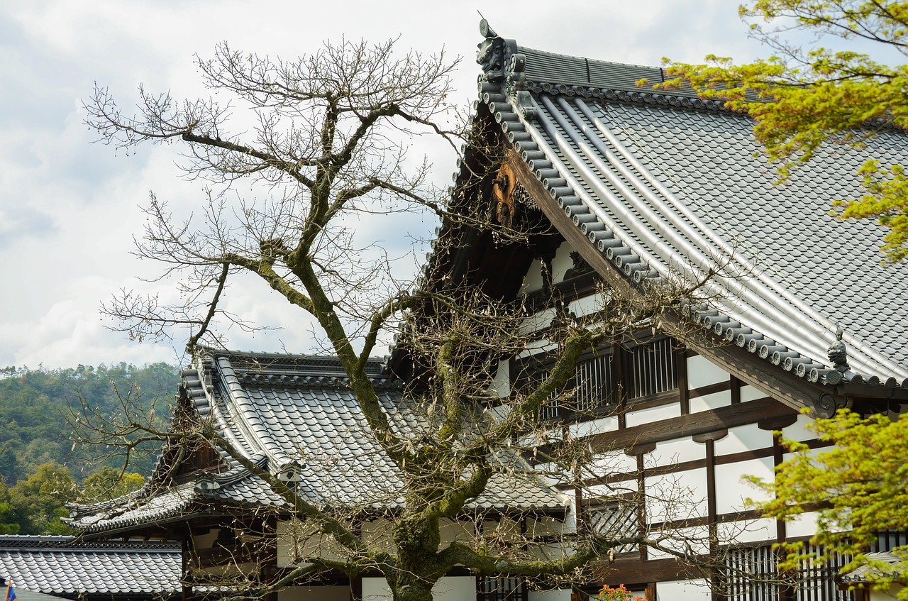 beauty autumn kyoto free photo