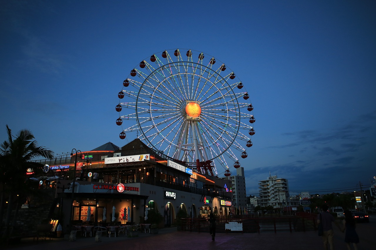 japan travel the ferris wheel free photo