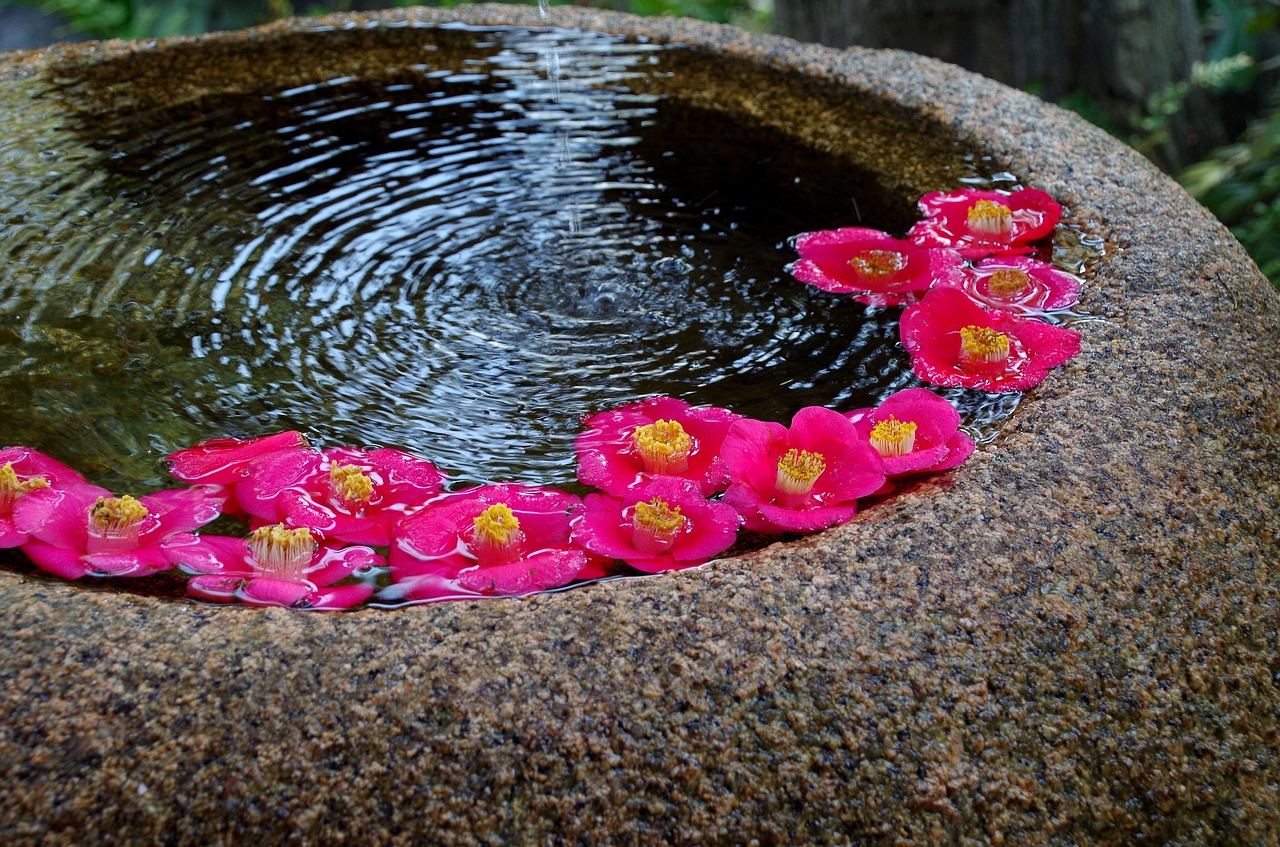 japan japanese style flowers free photo