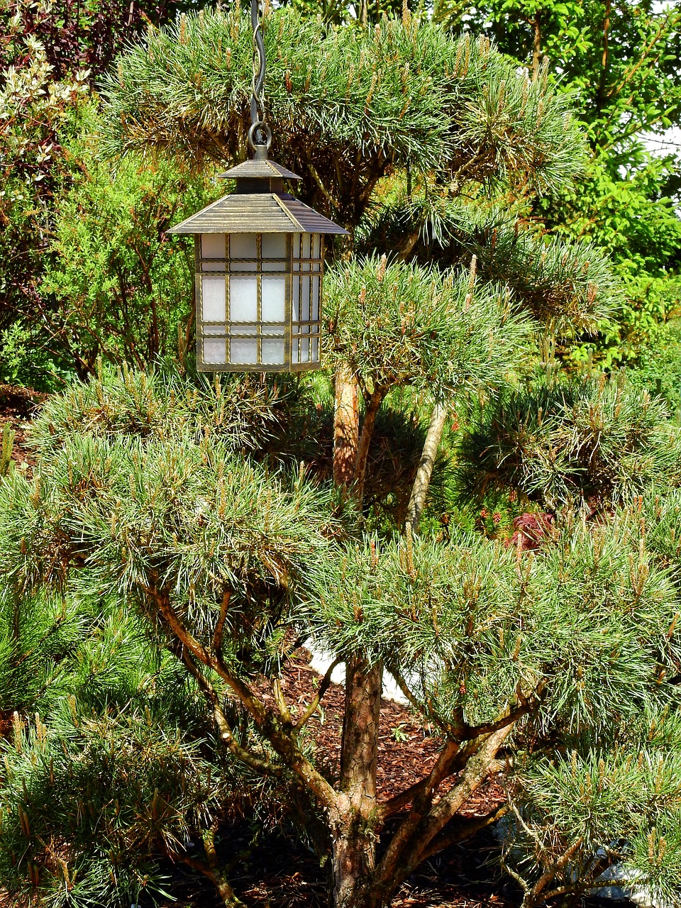 japan garden japanese garden lantern free photo