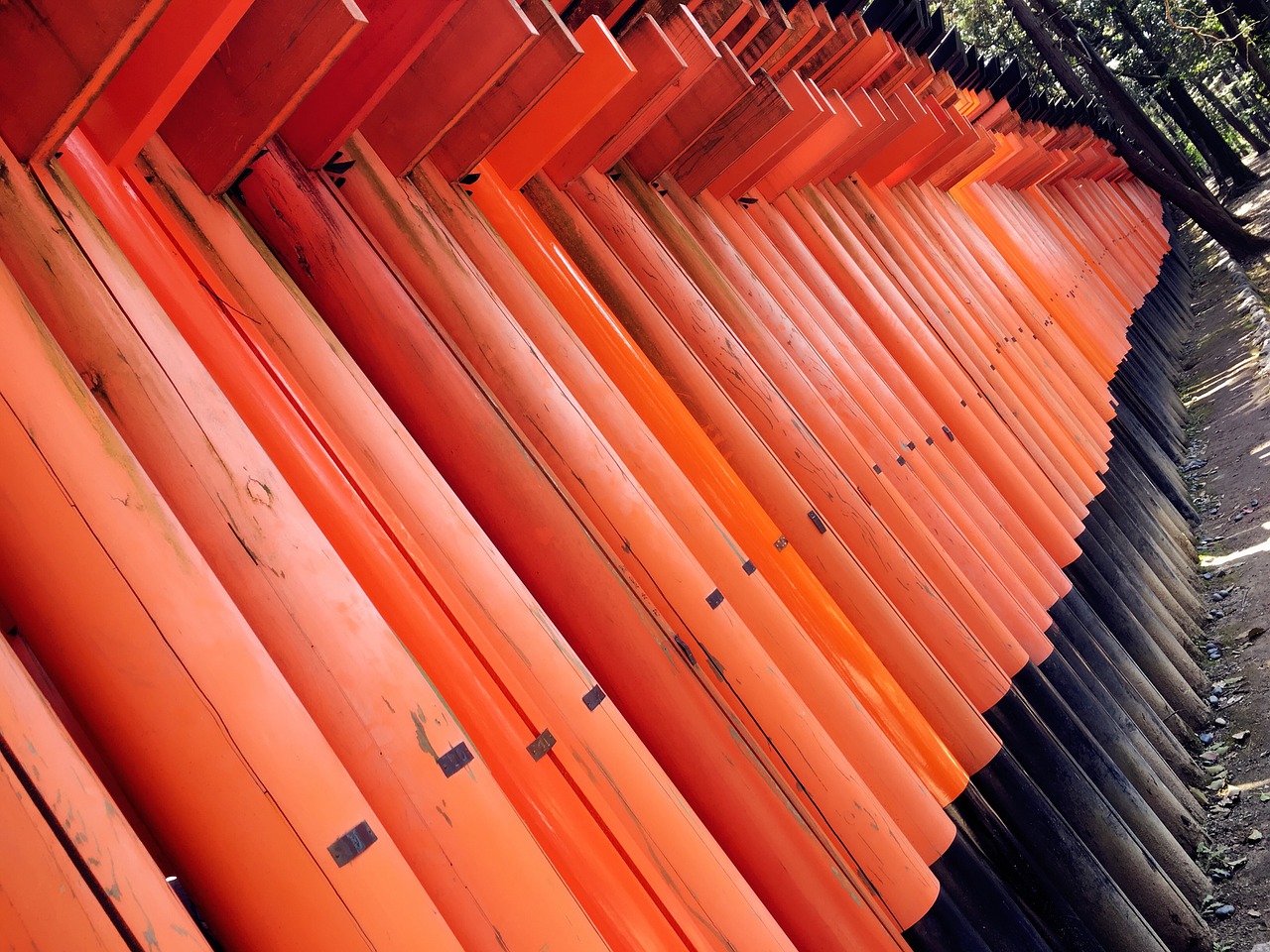 japan kyoto thousand torii free photo
