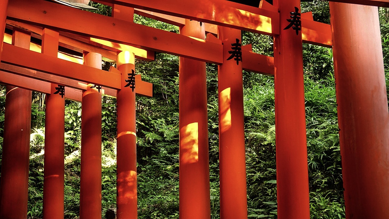 japan inari shrine orange free photo