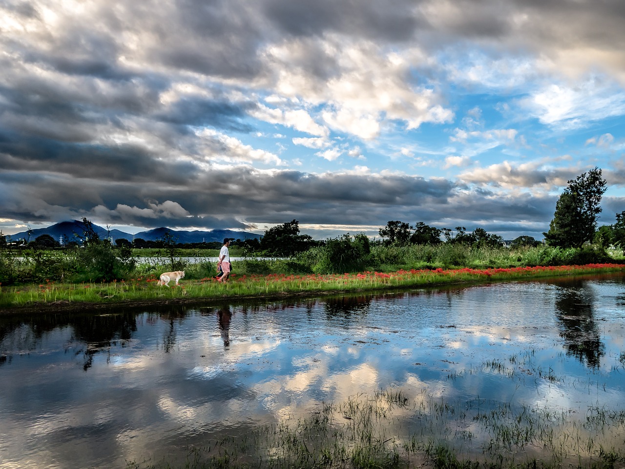 japan kumamoto 江津湖 free photo