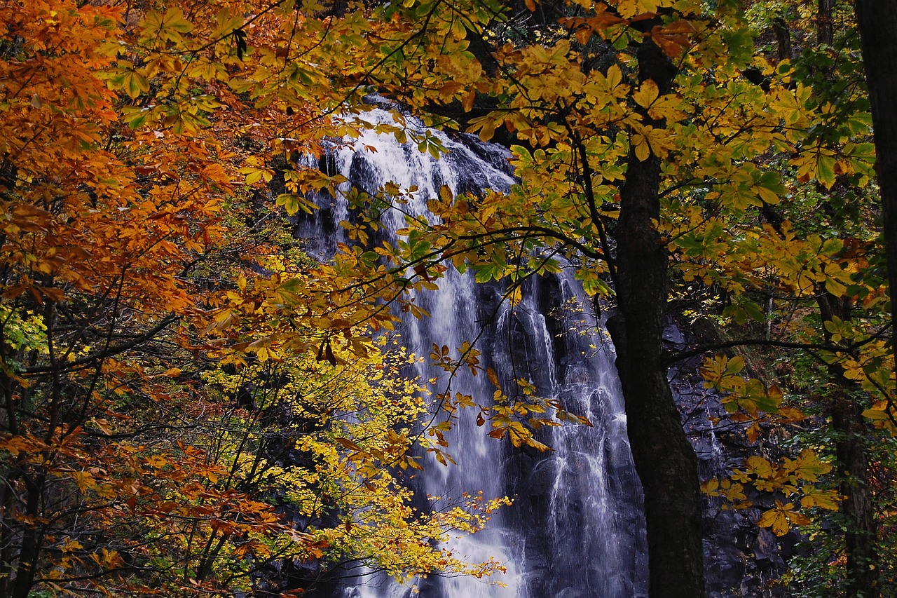 japan natural landscape free photo