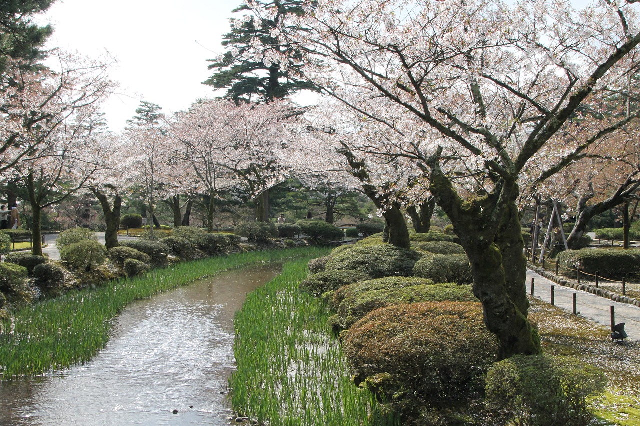 japan  path  water free photo