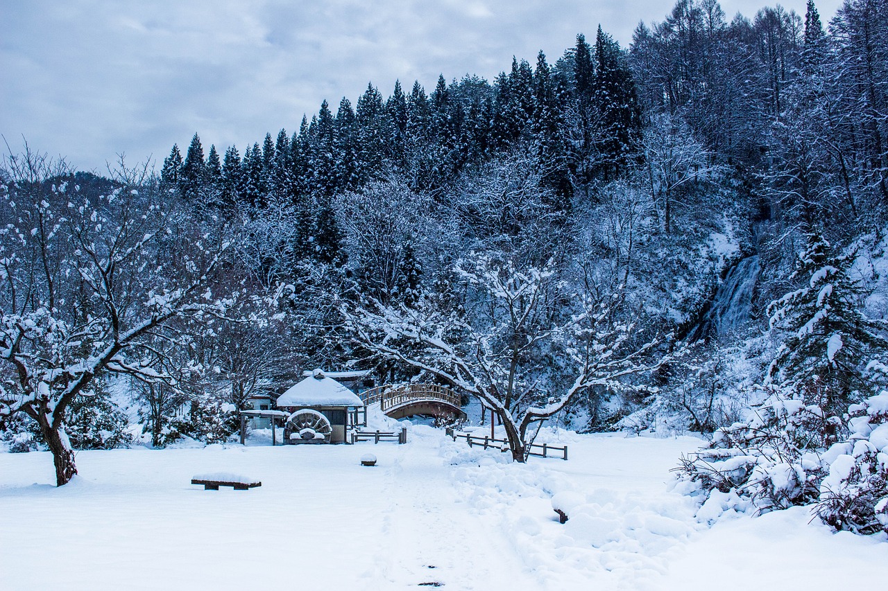 japan  winter  the four seasons free photo