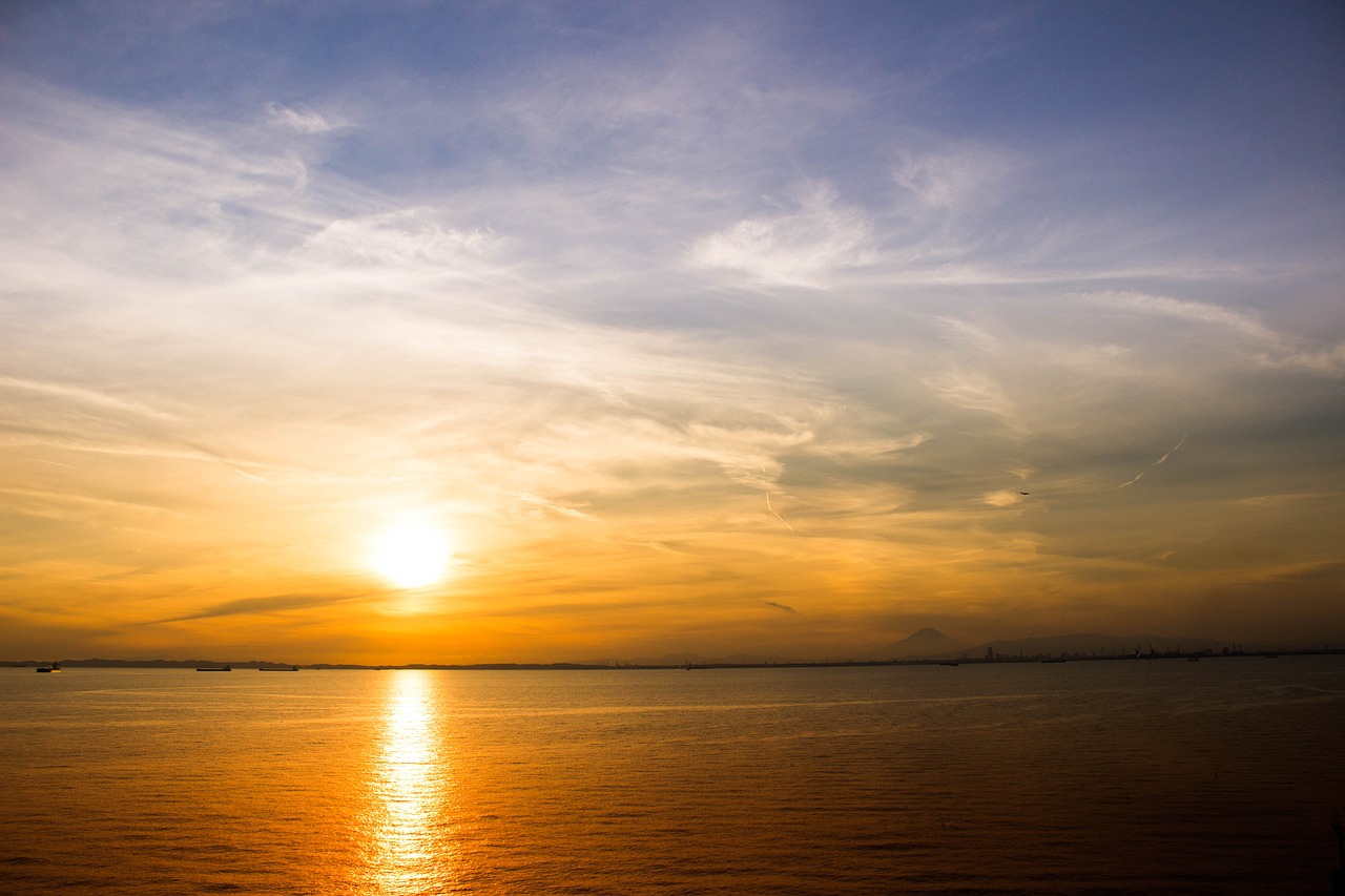 japan  tokyo bay  umi hotaru free photo