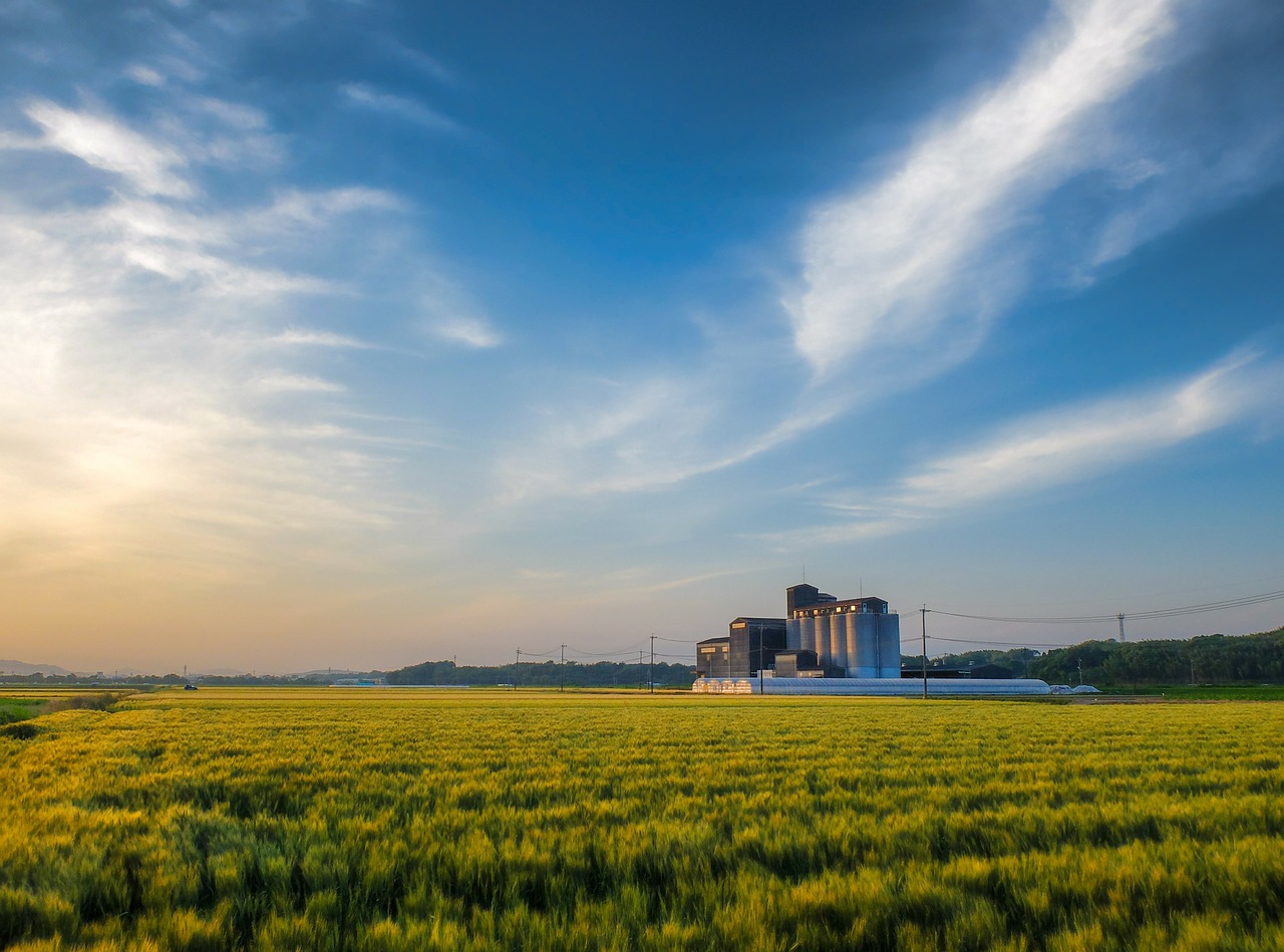 japan kumamoto cloud free photo