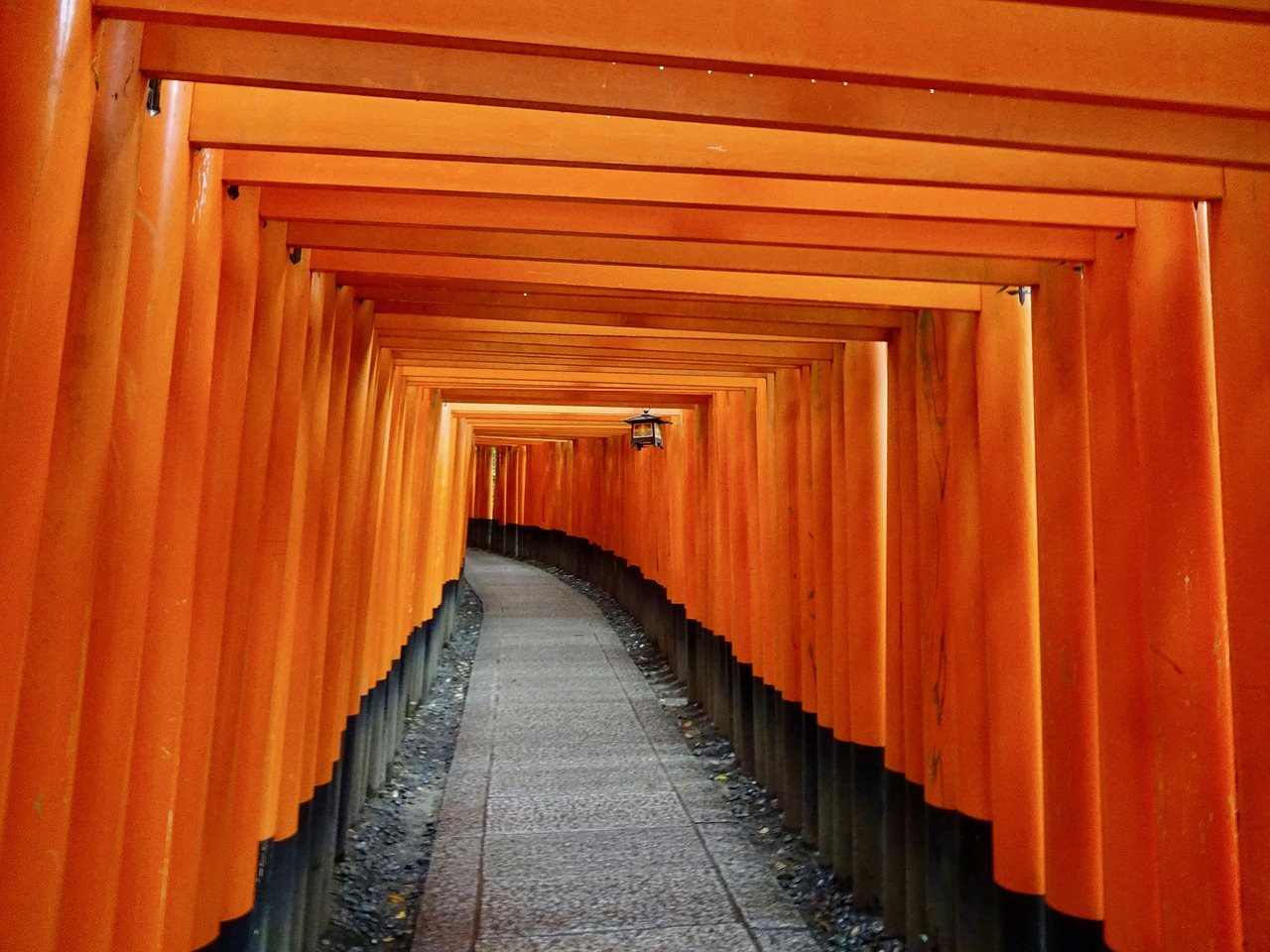 japan  kyoto  temple free photo