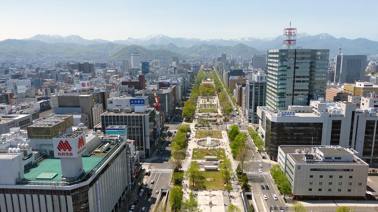 japan sapporo panoramic view free photo