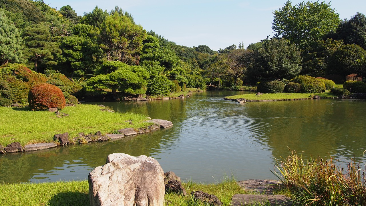 japan  garden  green free photo