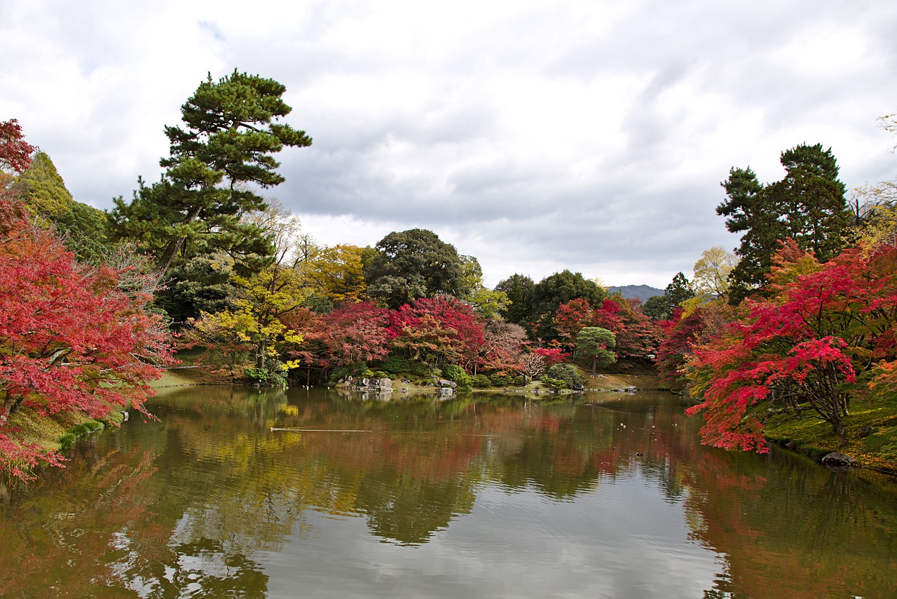 japan  kyoto  sentou free photo