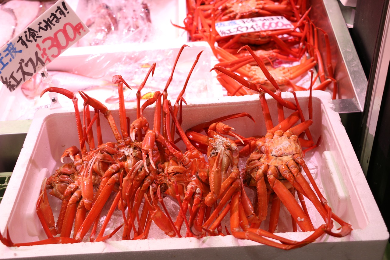 japan  crab  aquatic products free photo