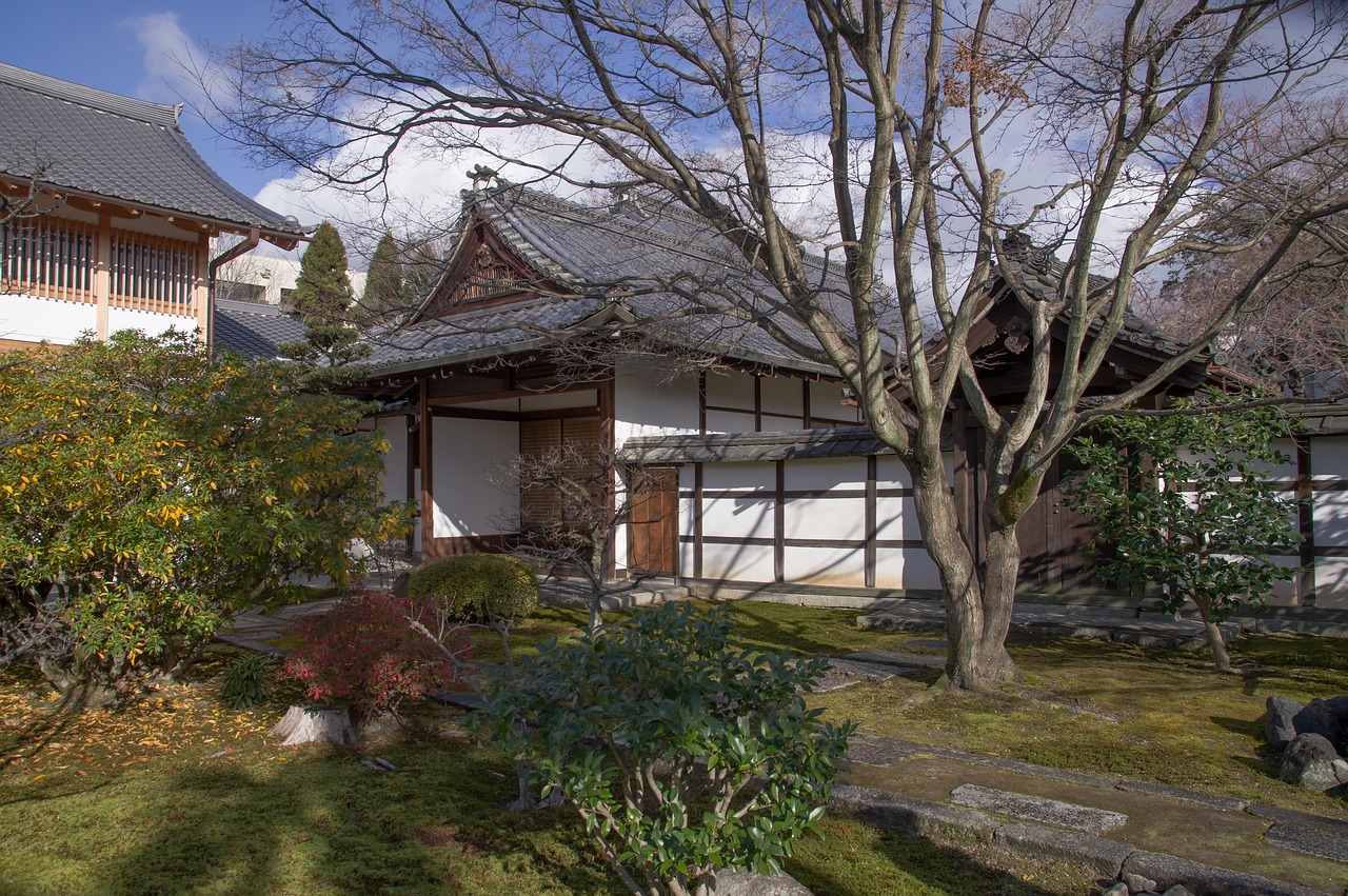 japan  garden  traditional house free photo