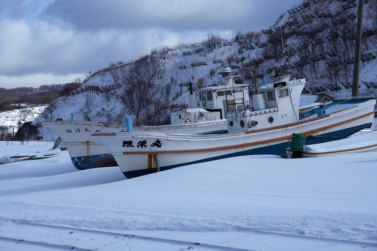 japan  hokkaido  sapporo free photo