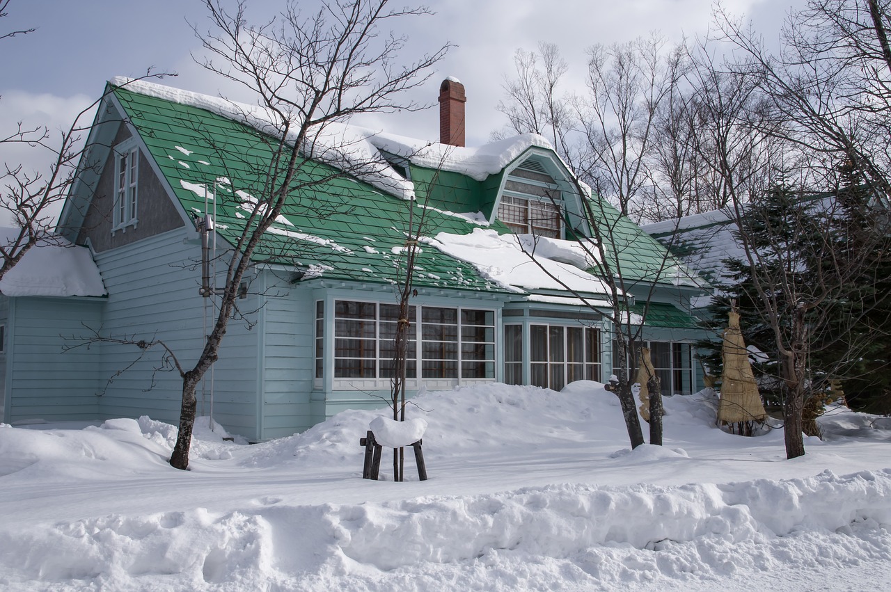 japan  hokkaido  winter free photo