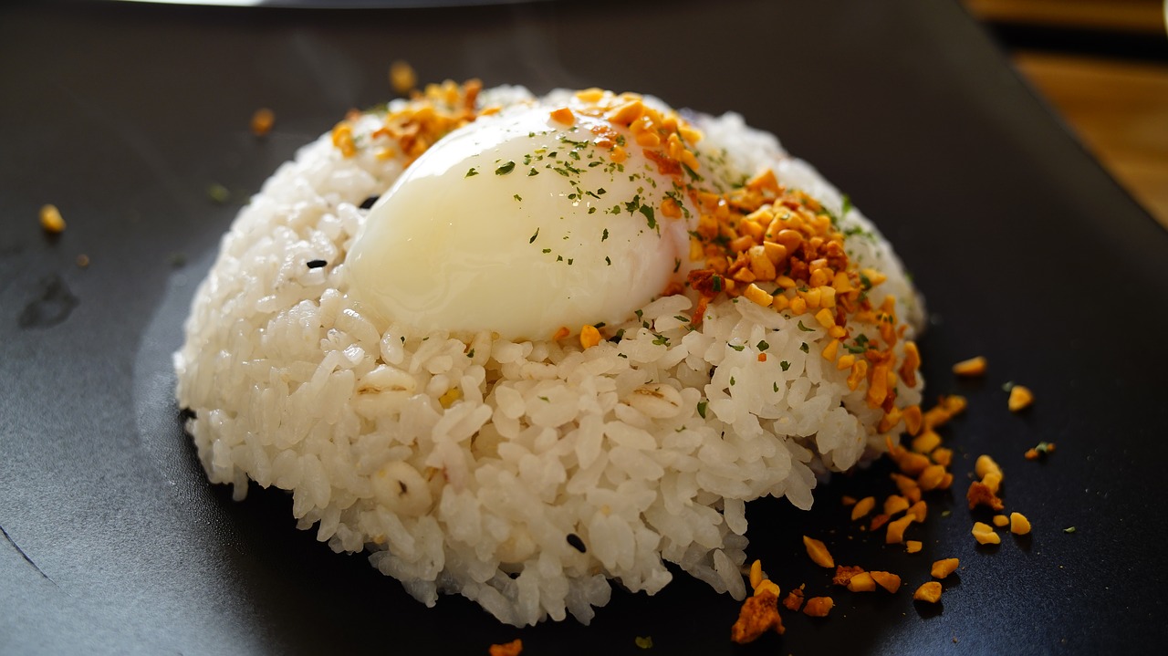 japan  food  egg free photo