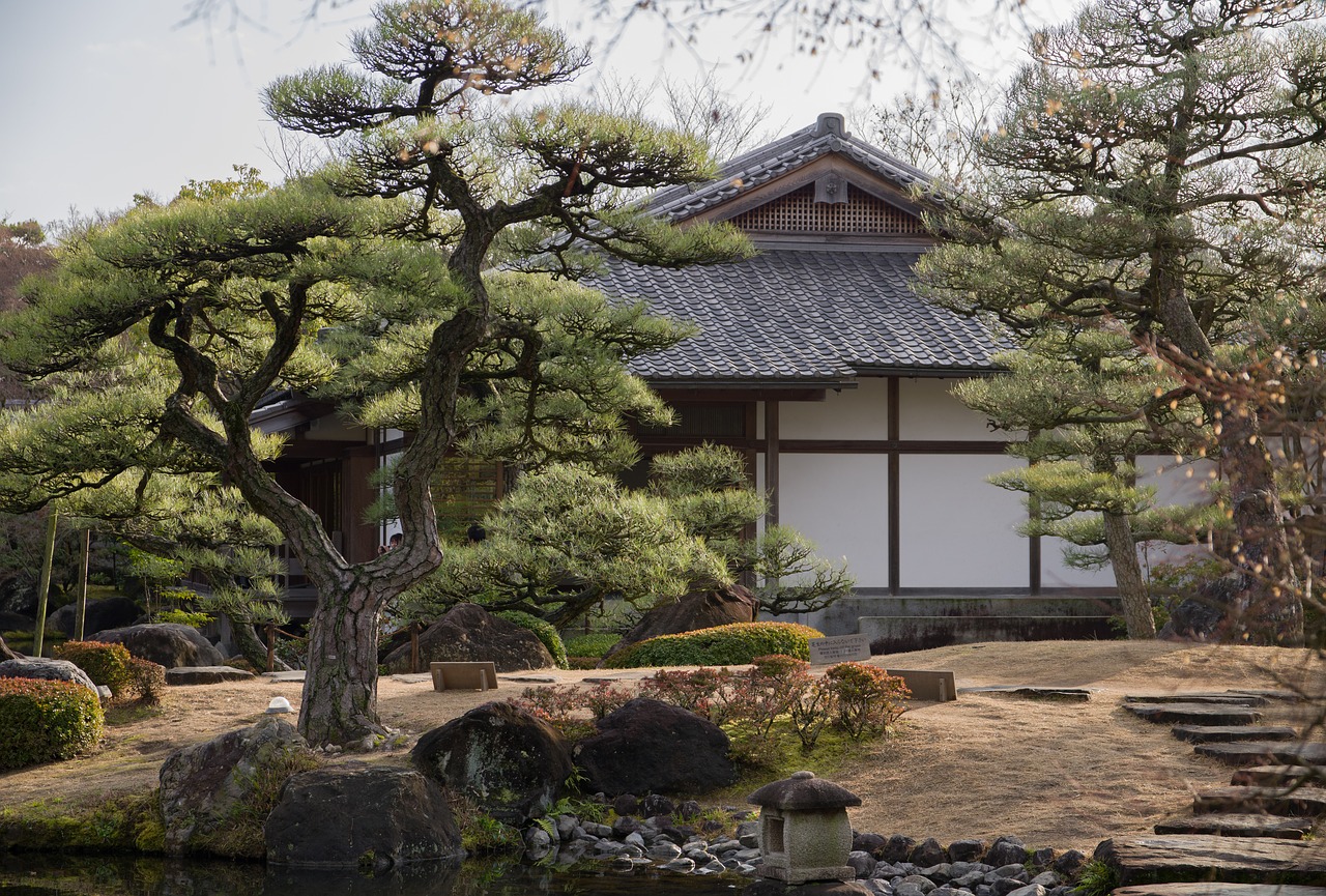 japan  garden  tradition free photo