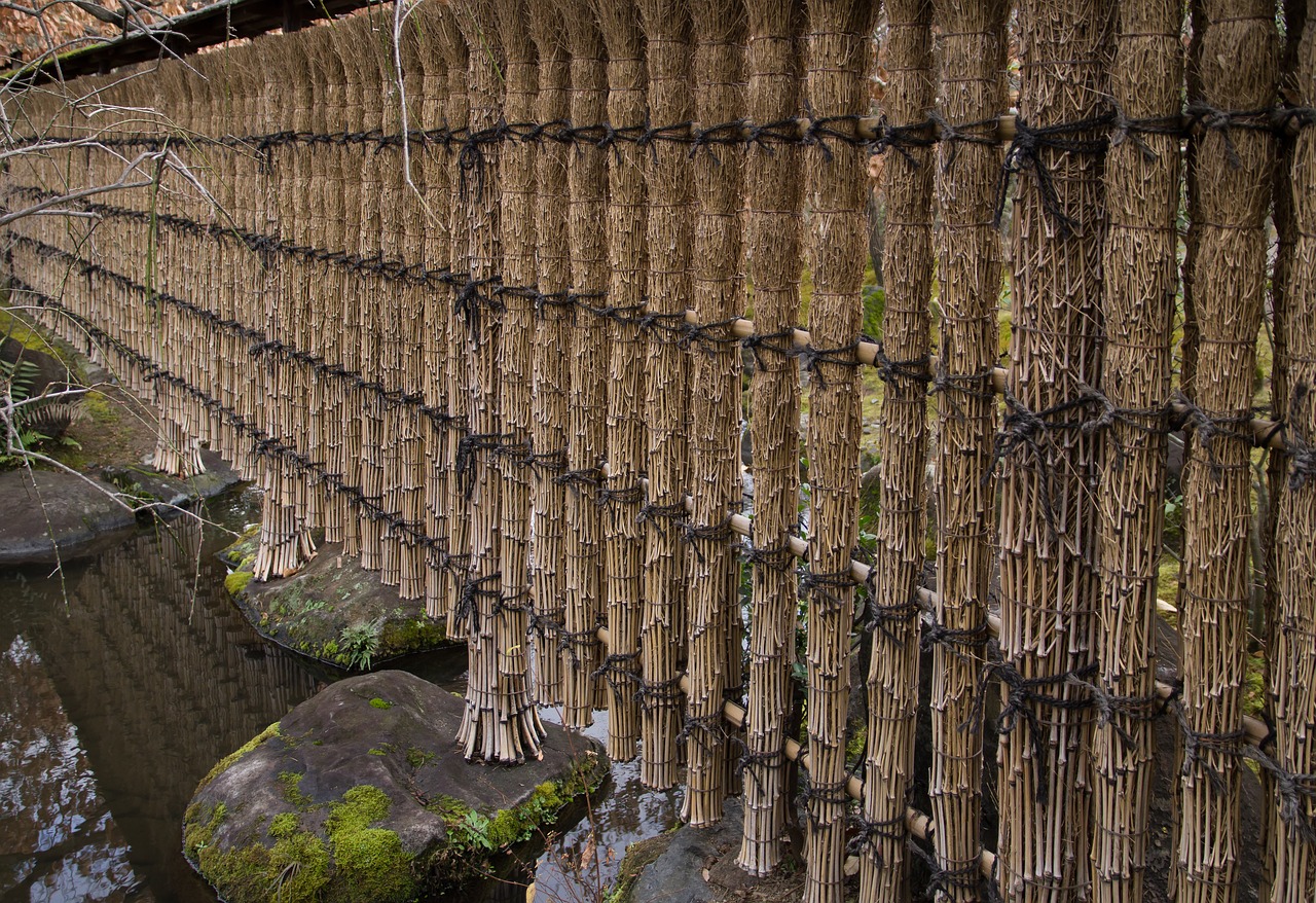 japan  garden  bamboo free photo