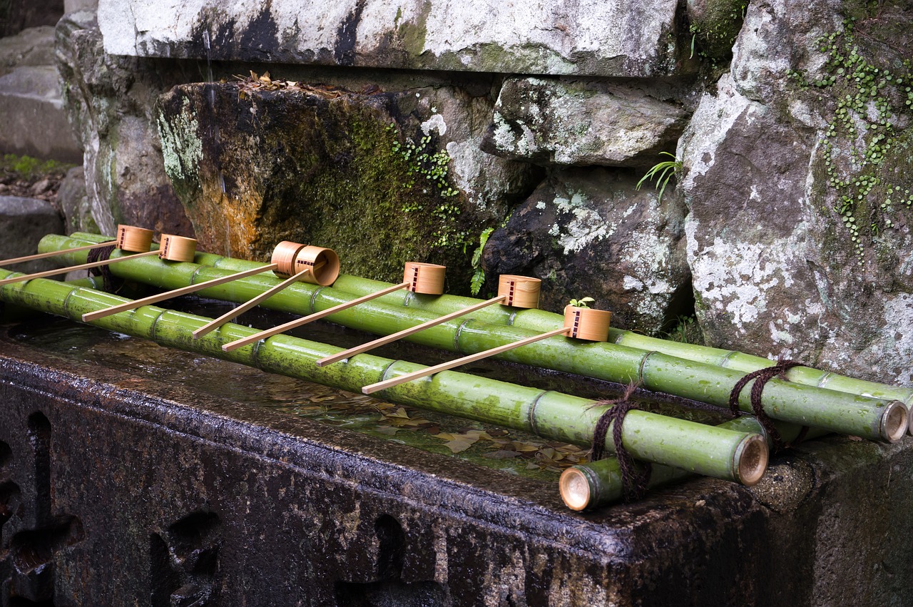 japan  bamboo  temple free photo