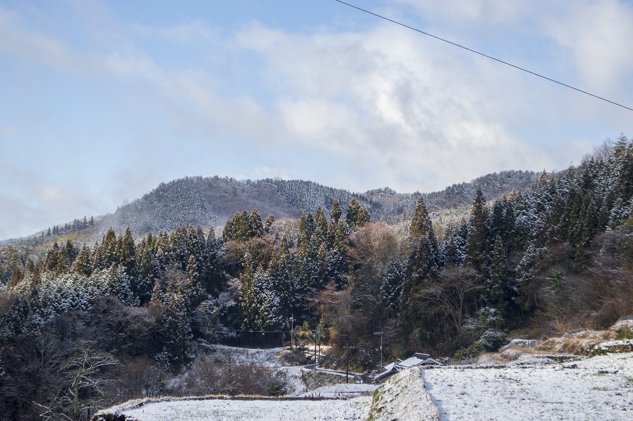 japan  countryside  landscape free photo