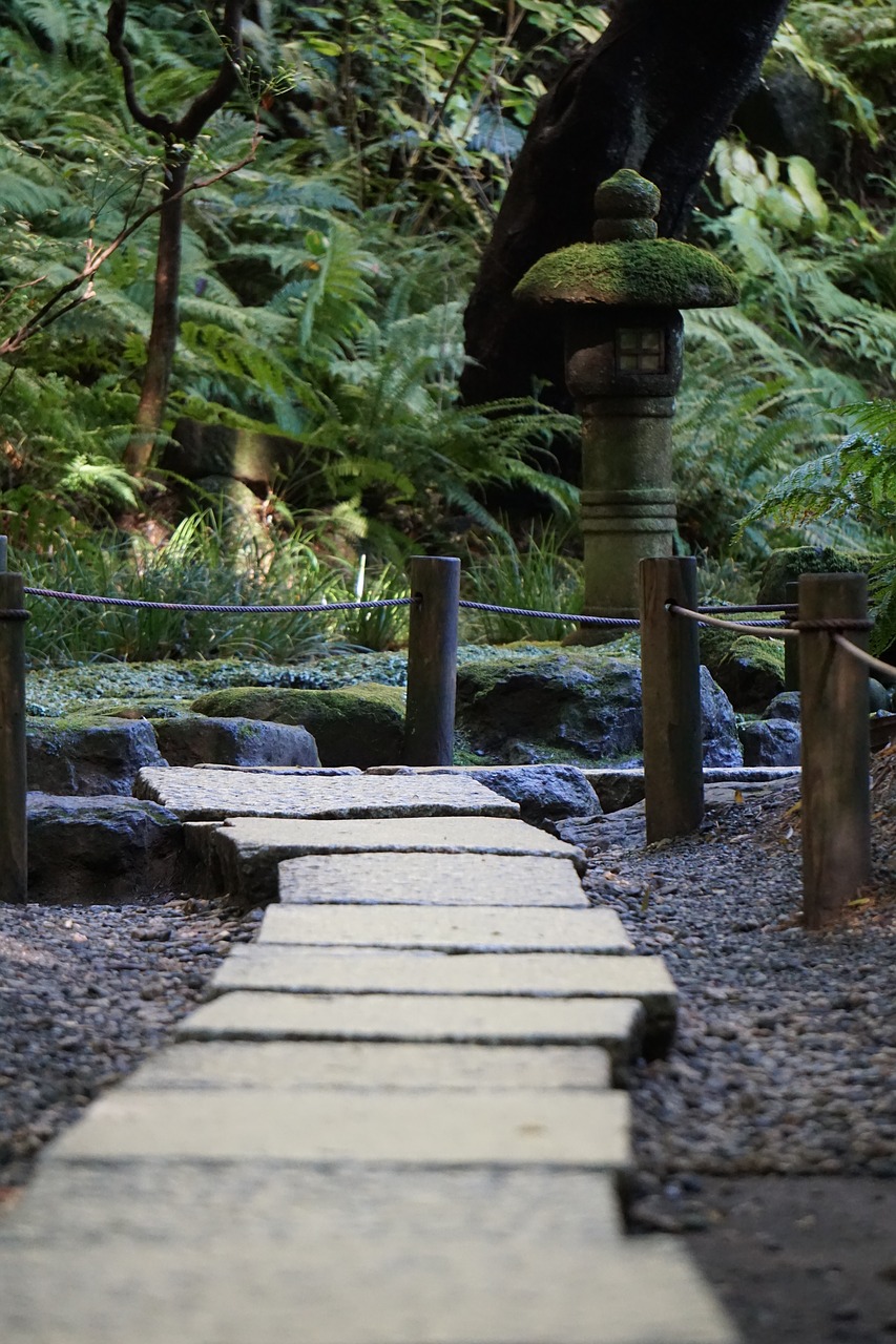 japan  culture  garden free photo