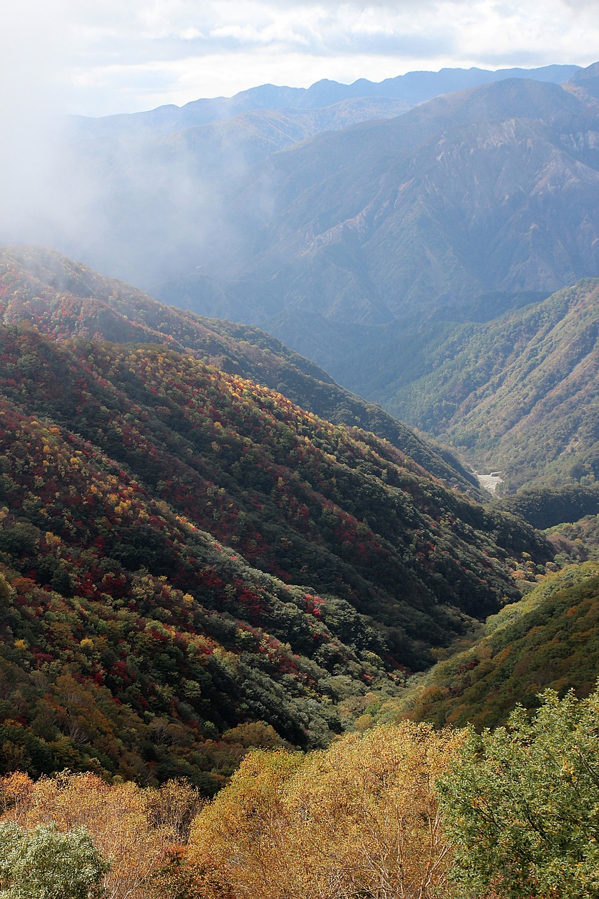 japan  nature  landscape free photo