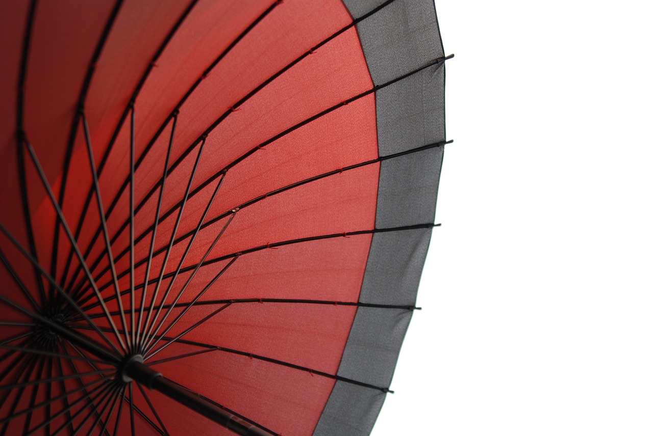 japan  umbrella  traditional free photo