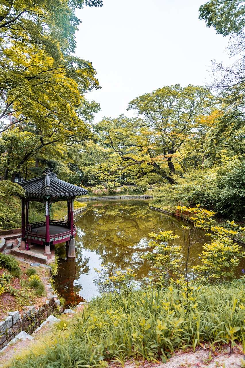 japan  garden  travel free photo