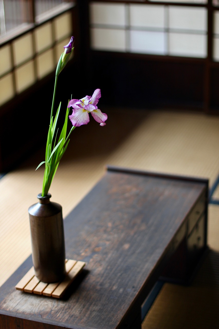 Japan, iris, purple, vase, traditional - free image from needpix.com