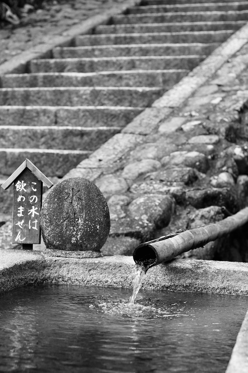 japan  temple  stairs free photo