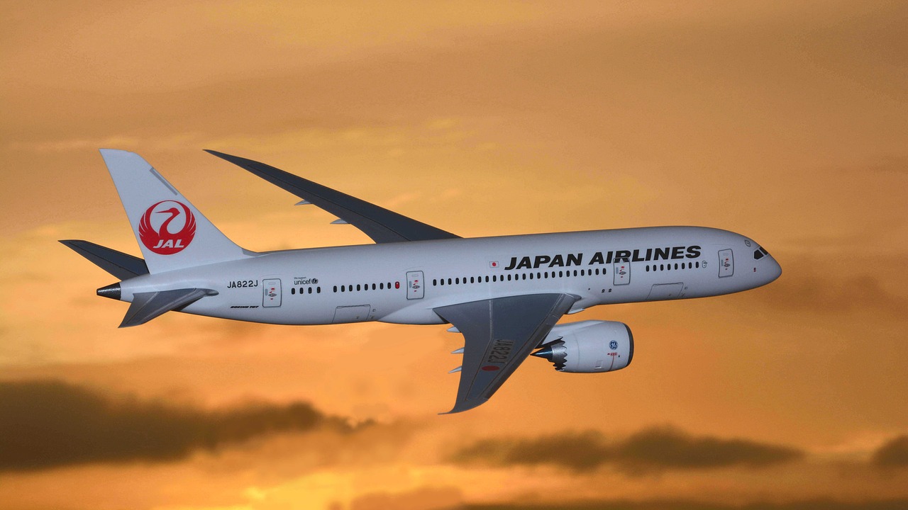 japan  japan airlines  model planes free photo