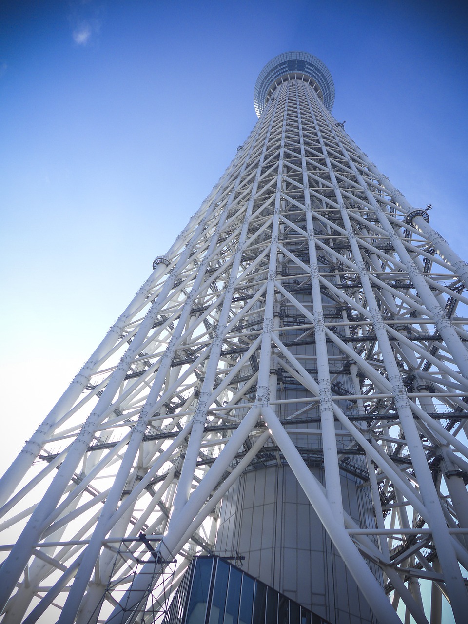 japan  tokyo  tower free photo