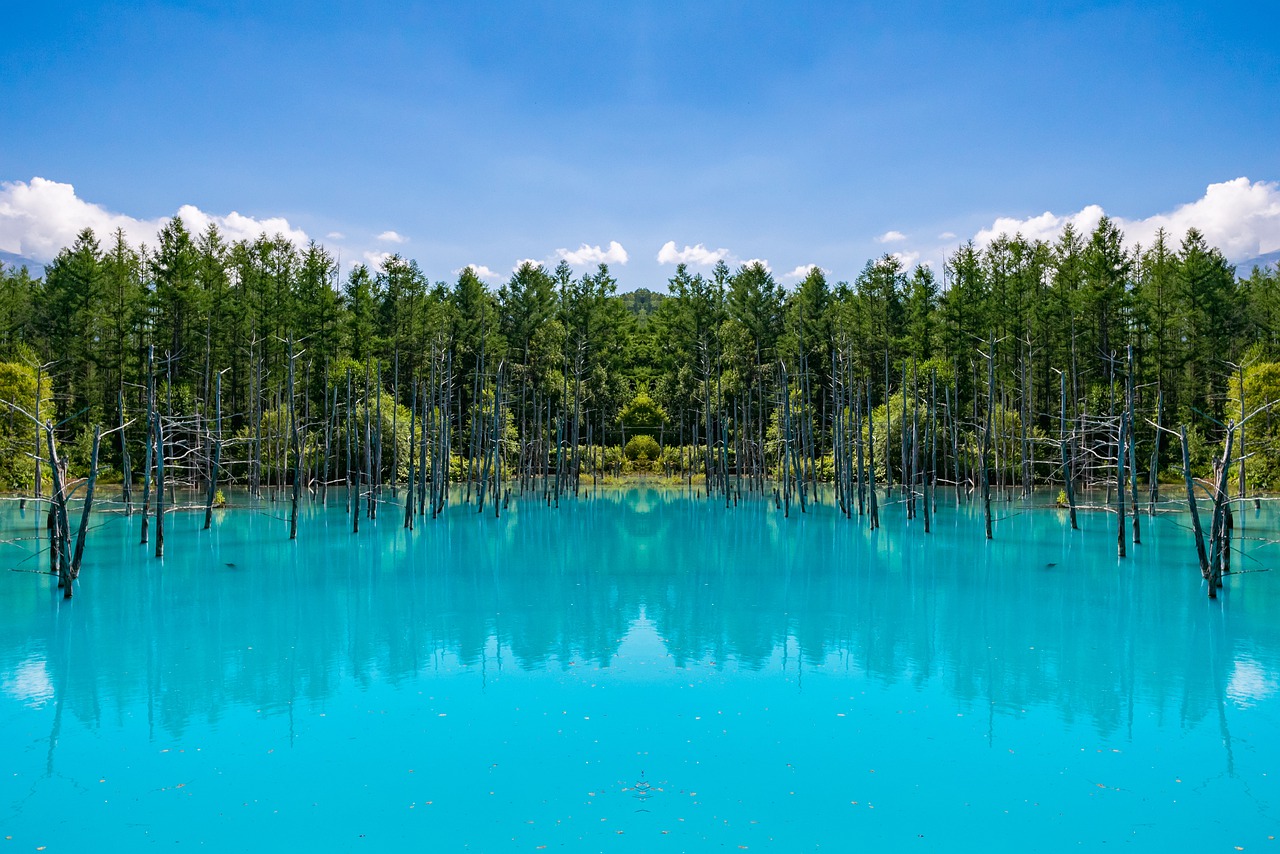 japan  blue pond  lake free photo