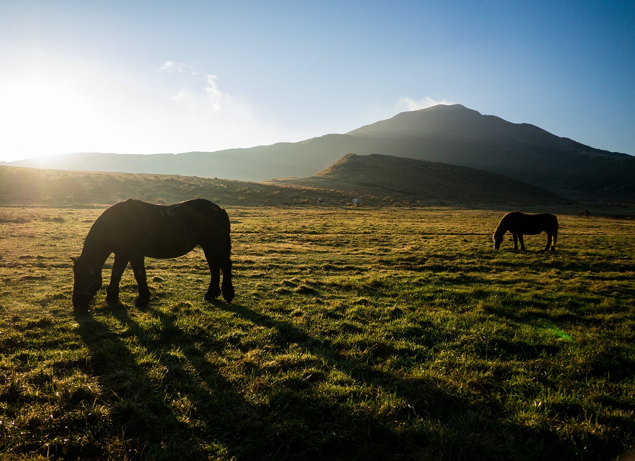 japan aso kumamoto free photo