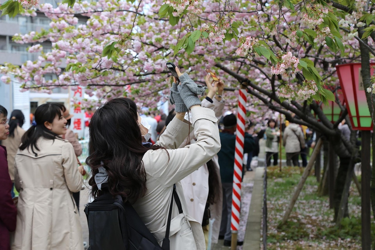 japan women japanese free photo