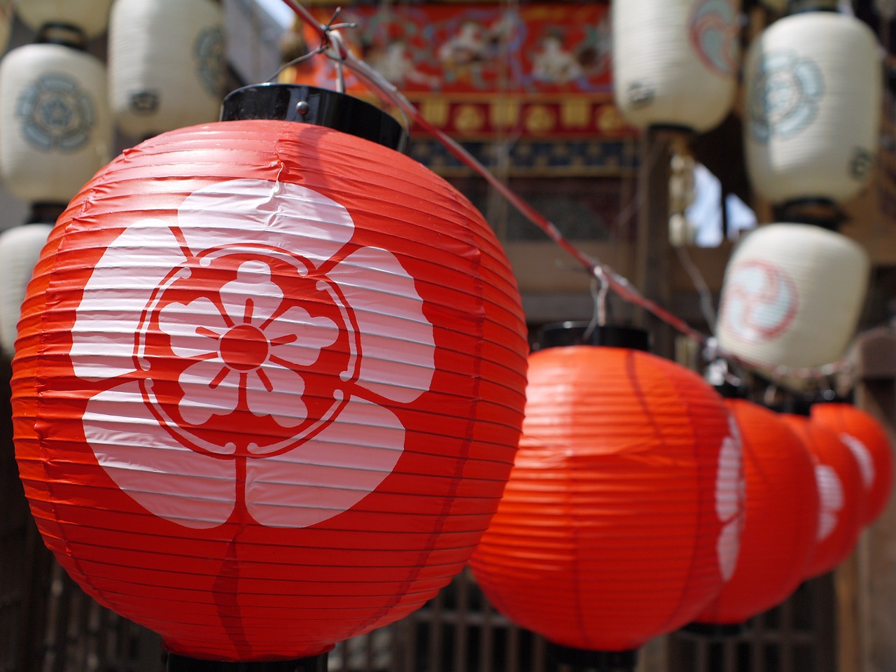 japan festival summer free photo