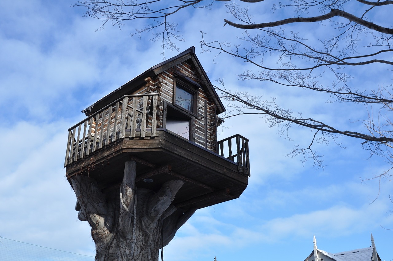 japan hokkaido in tree house free photo