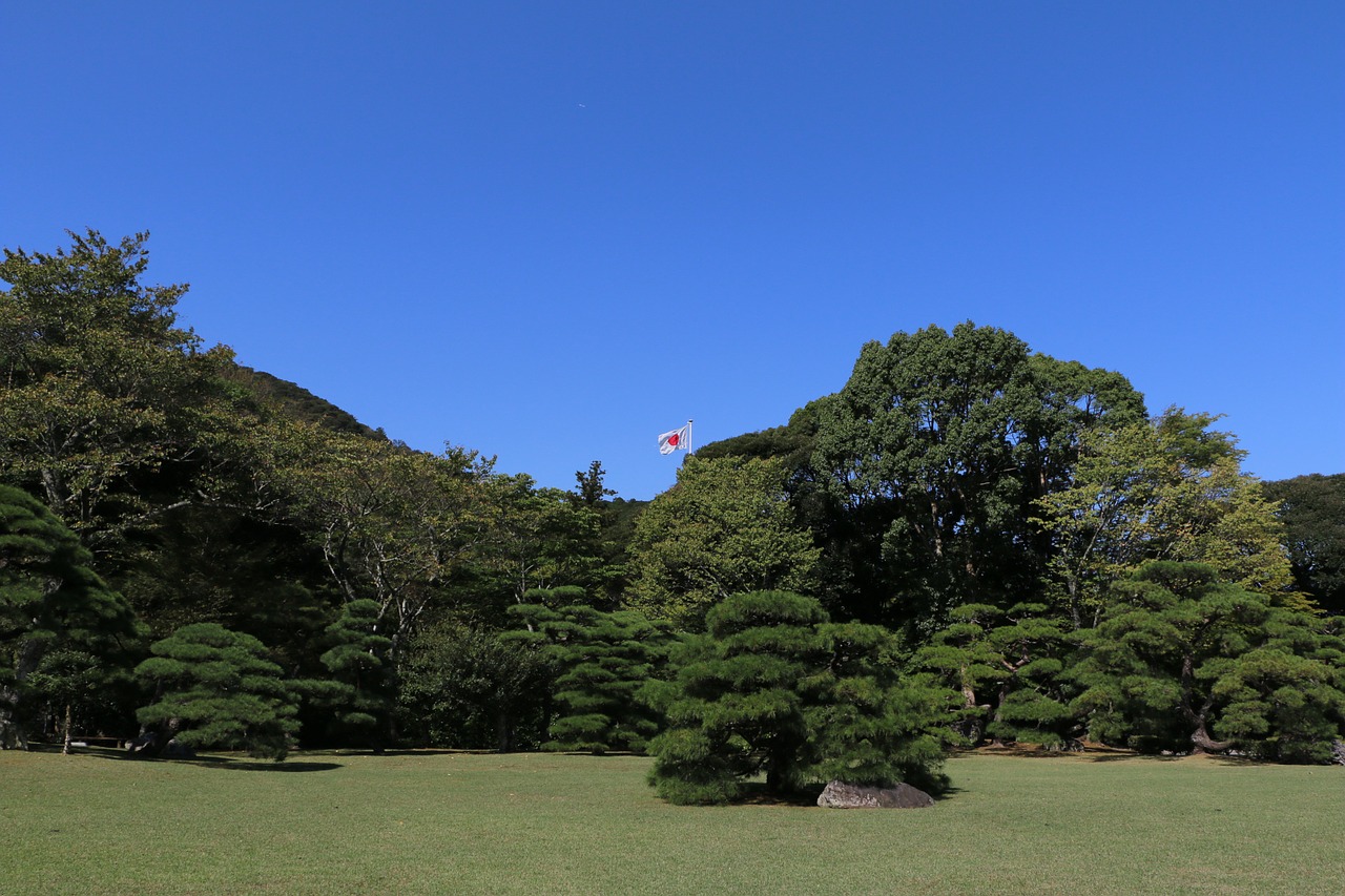 japan flag woods free photo
