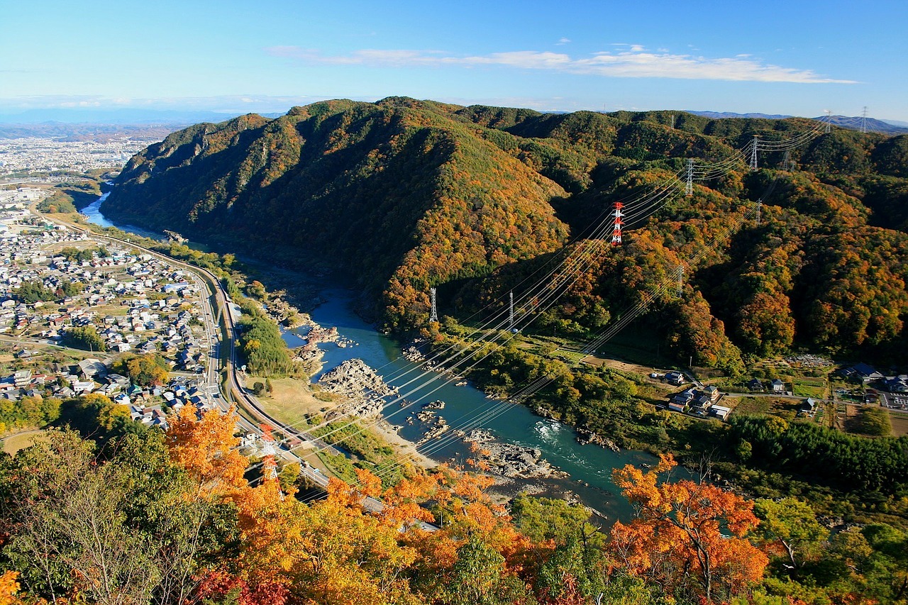 japan fall autumn free photo