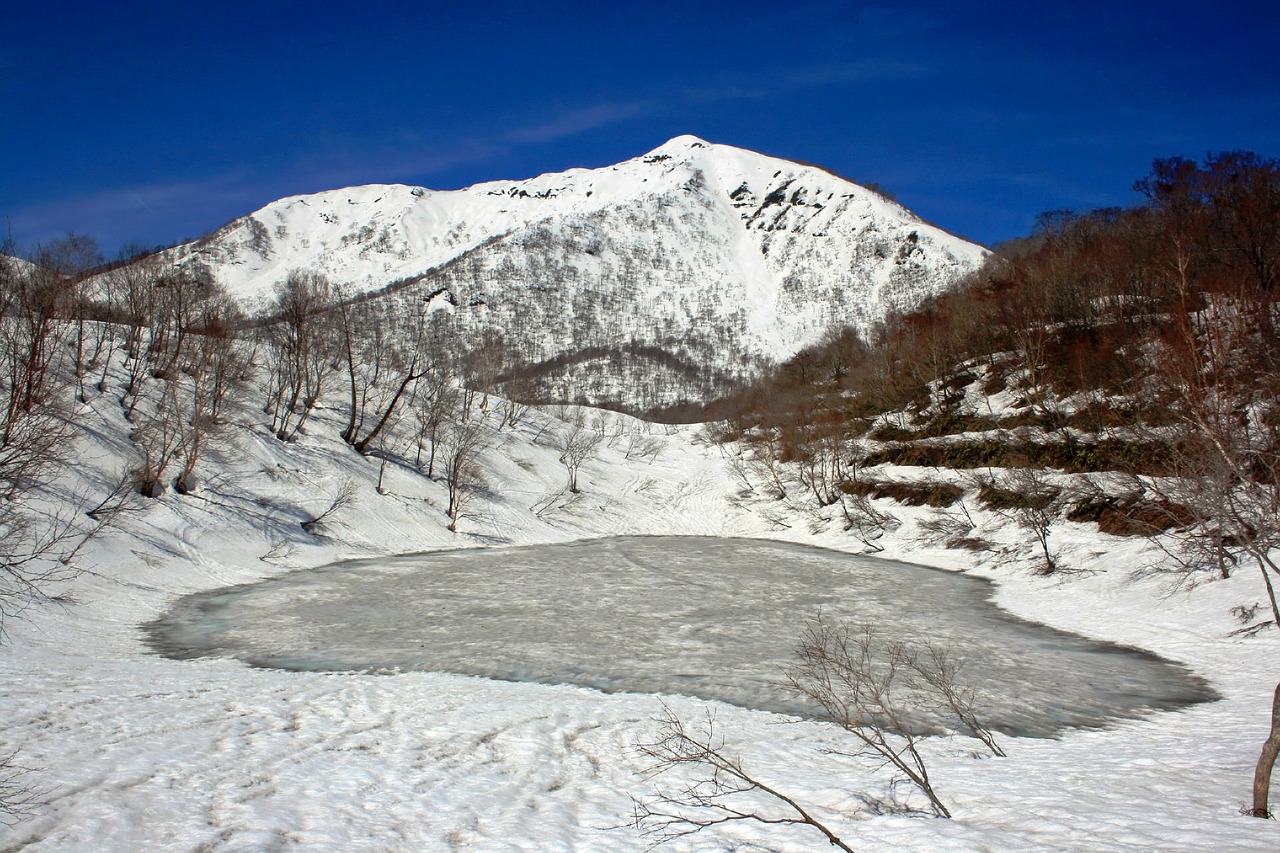 japan landscape winter free photo