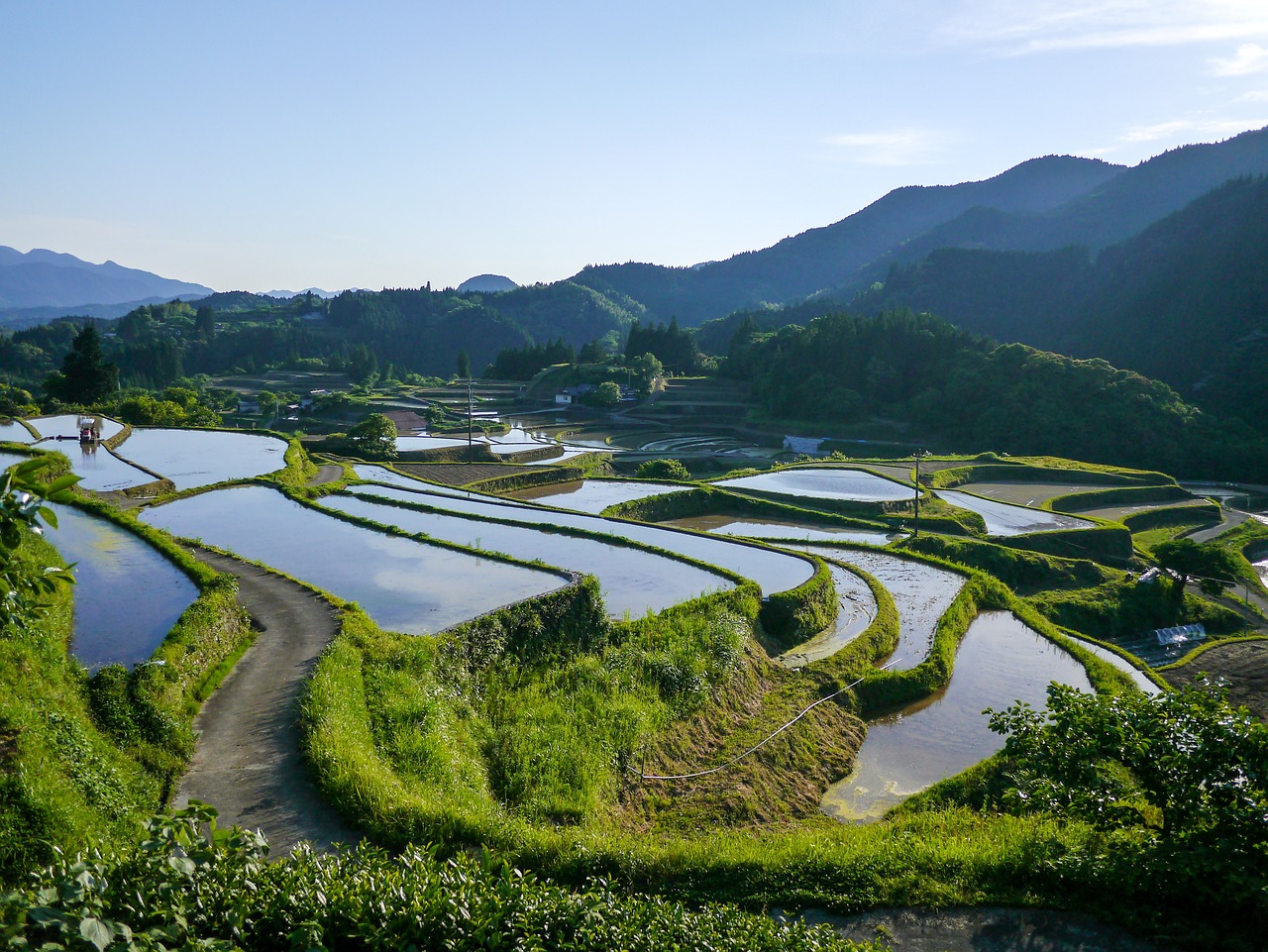 japan rice terraces kumamoto free photo