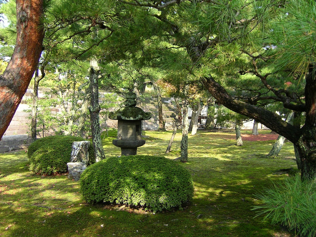 japan garden autumn free photo