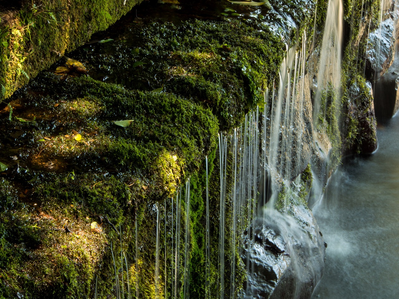 japan water sources kumamoto free photo