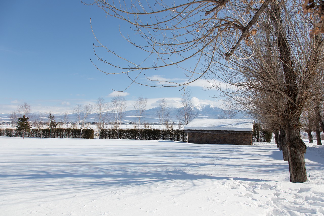 japan hokkaido scene free photo