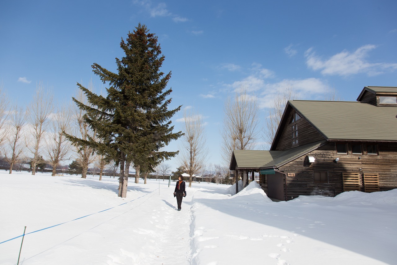 japan hokkaido scene free photo