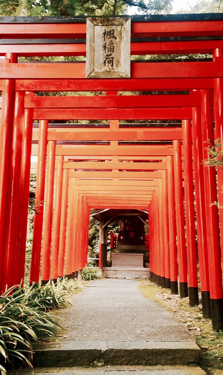 japan torii inari free photo