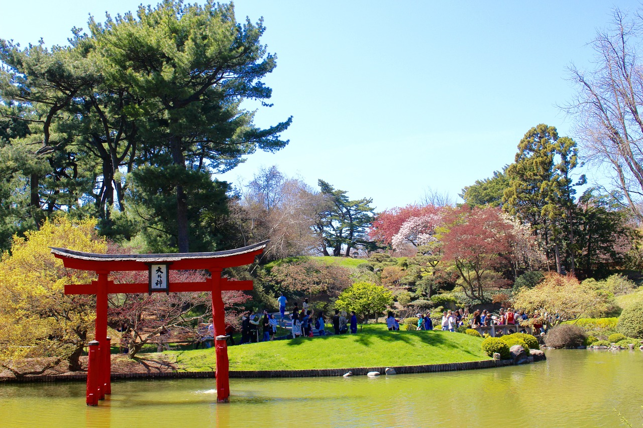 japanese arch pond free photo